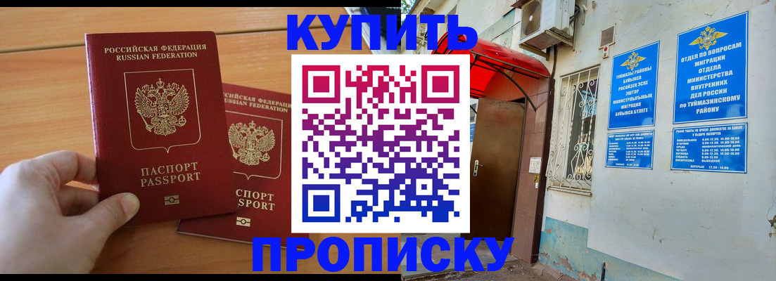 прописка штамп в Михайловке